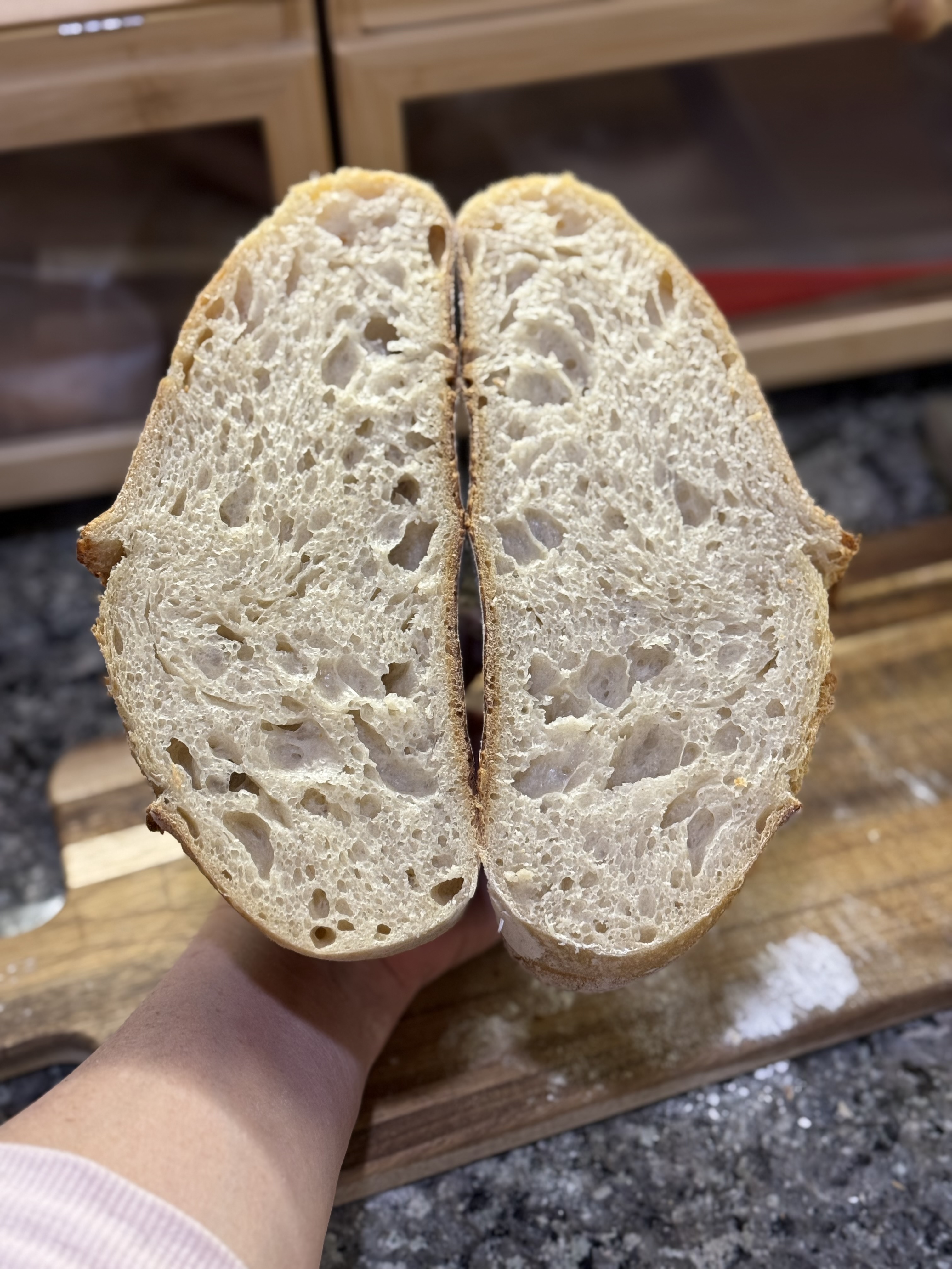 Sourdough Crumb